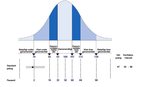 resultatrapport